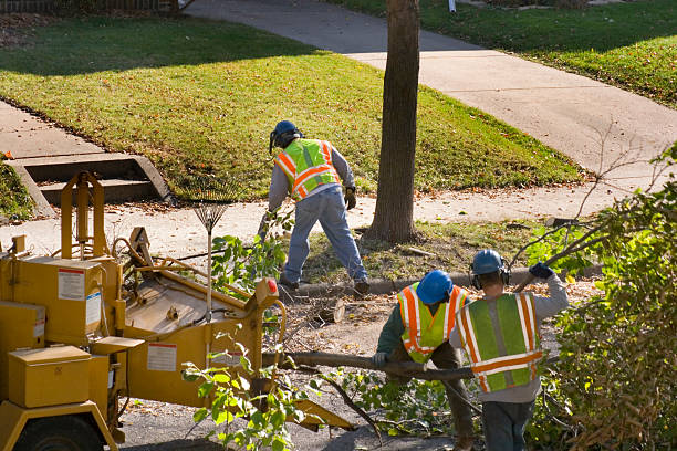 Best Lawn Drainage Solutions  in Terville, WA