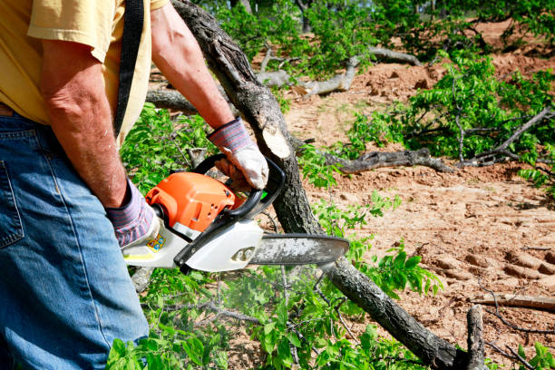 Lawn Maintenance Plans in Waterville, WA